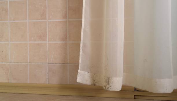 Best Air Quality Testing for Mold Spores  in Mcloud, OK