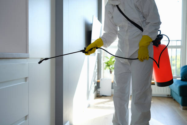 Trusted Mcloud, OK Mold Removal Experts