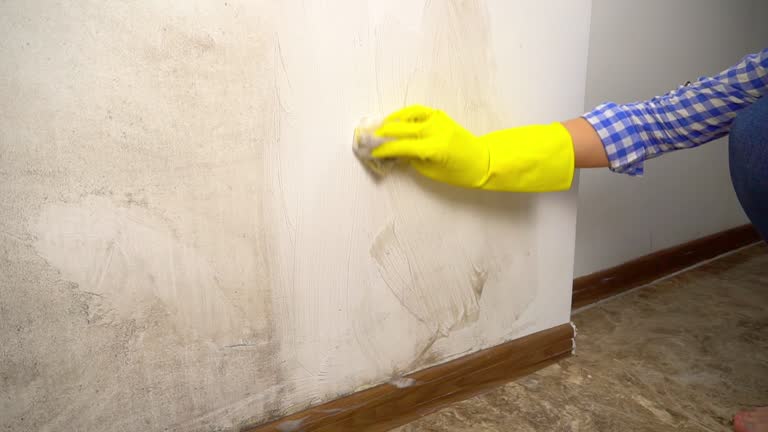 Best Real Estate Mold Inspection  in Mcloud, OK