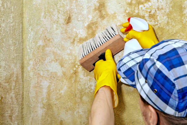 Best Crawl Space Mold Remediation  in Mcloud, OK