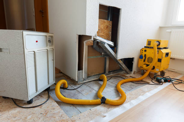 Mold Removal for HVAC Installations in Mcloud, OK