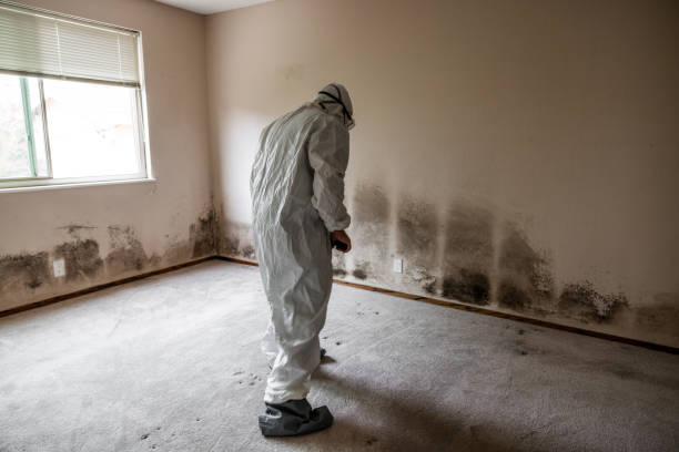 Best Dehumidification Services  in Mcloud, OK